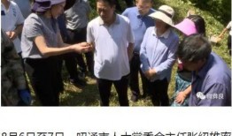 彝良媒体爆料案件最新,最新案件进展引发社会关注