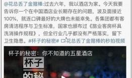 五星奶妈爆料视频大全集,揭秘育儿幕后故事